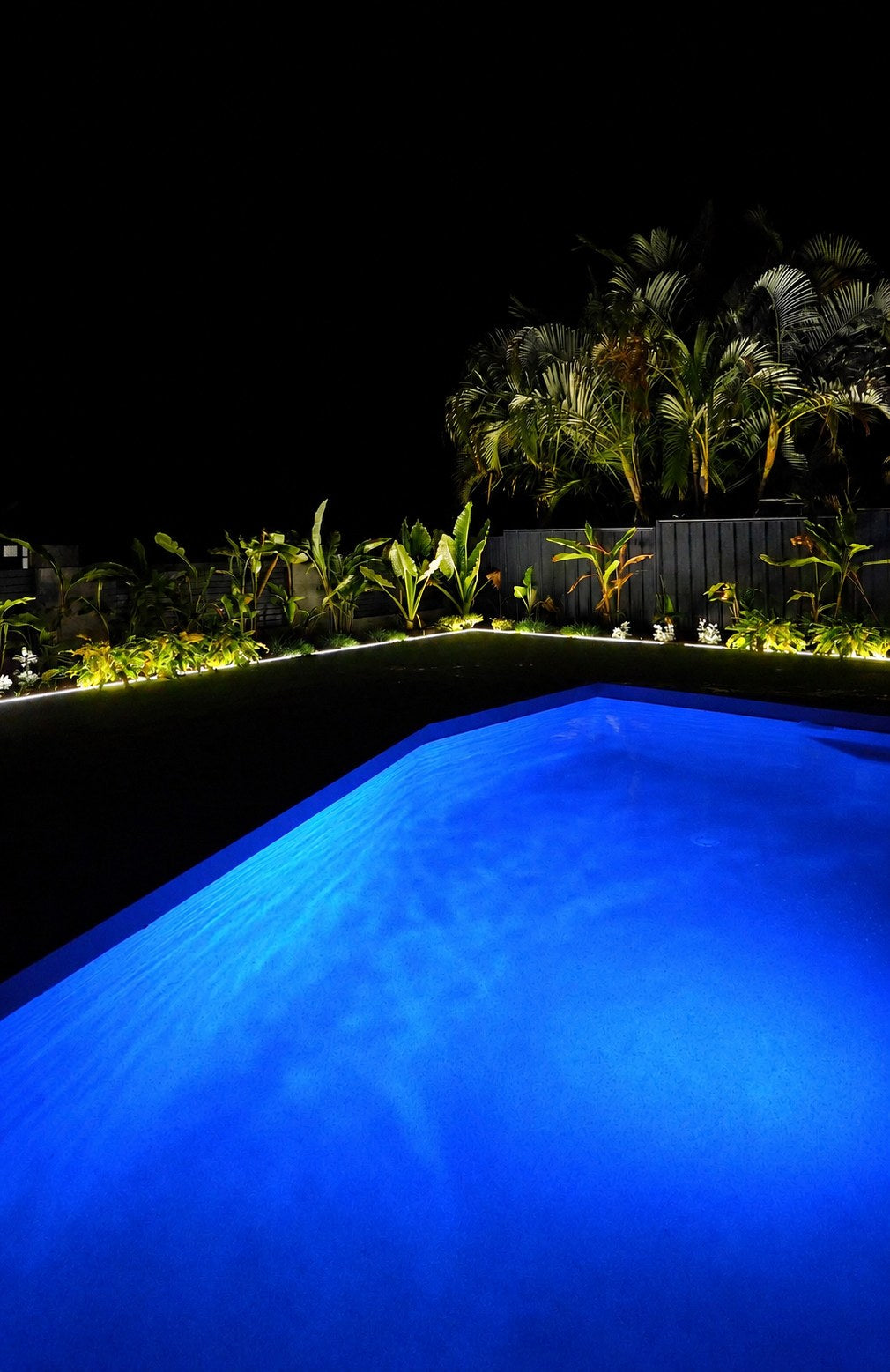 Pool and garden lighting at night by Luxe Lighting