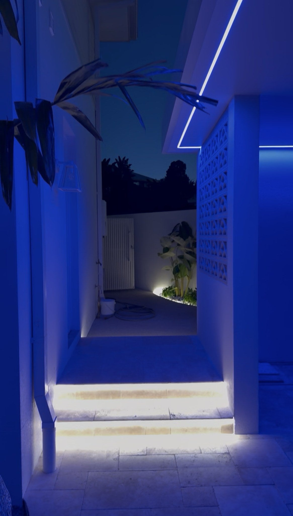 Luxe Signature layered lighting with lit entrance steps and blue feature wash
